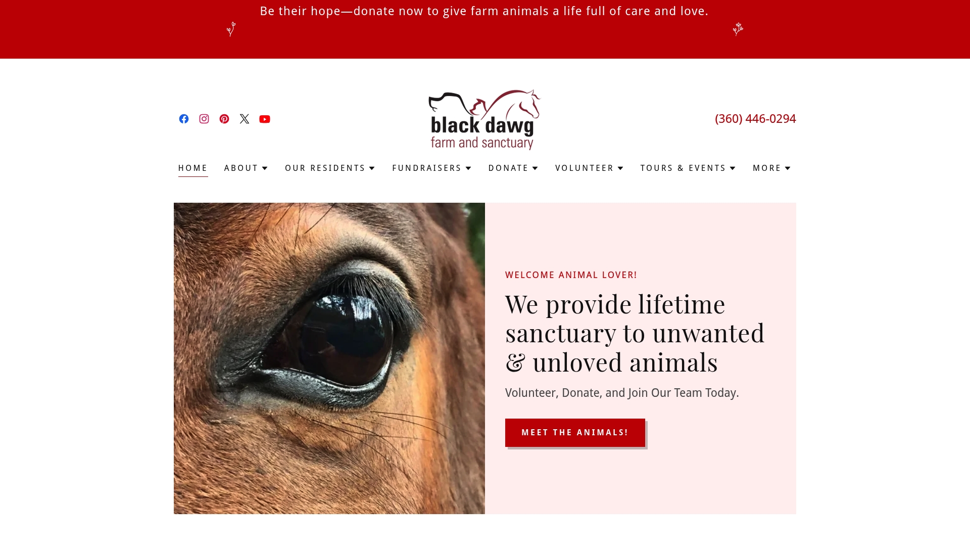 Black Dawg Farm And Sanctuary image